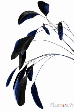 Coquetip - 20-25 cm - blu notte-nero